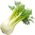 Fennel