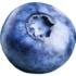Blueberry