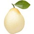 Nashi pear