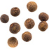 Nepalese sichuan pepper