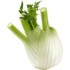 Fennel