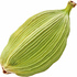 Cardamom