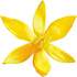 Ylang-ylang