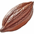 Cocoa shell