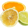 Citrus notes