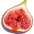 Fig