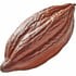 Cocoa absolute