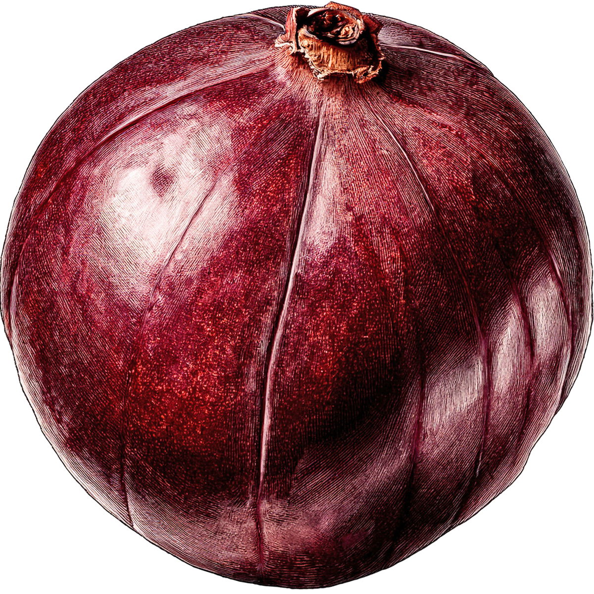 Maninka fruit