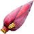 Banana flower