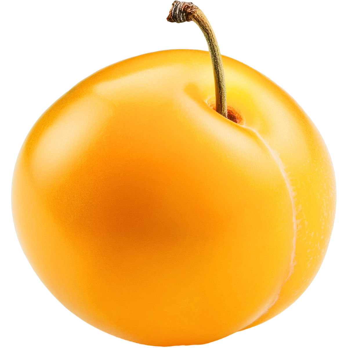 Mirabelle plum