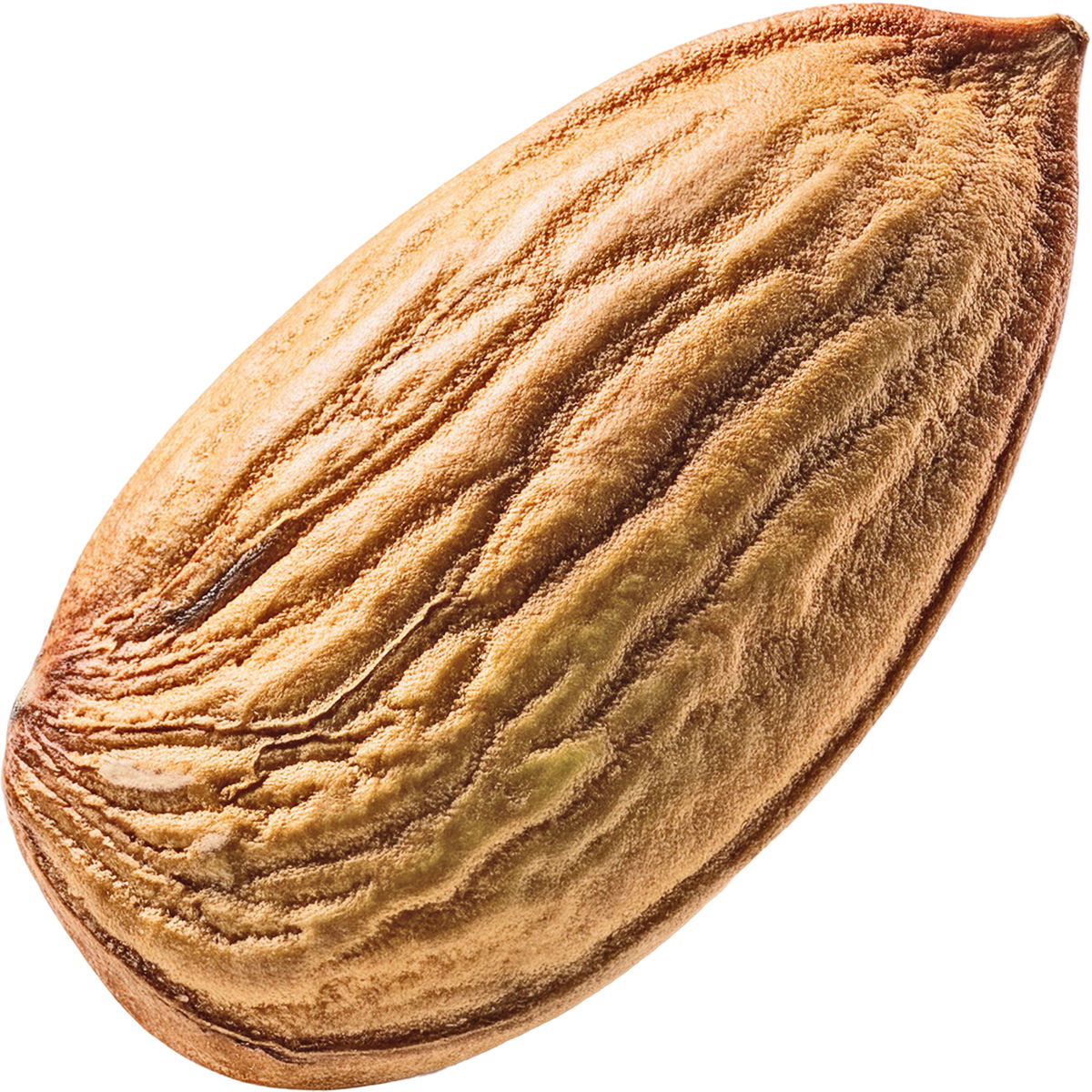 Bitter almond