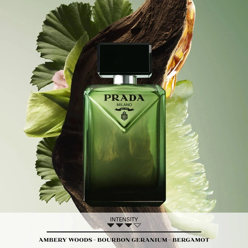 Prada Paradigme EDP Note Image